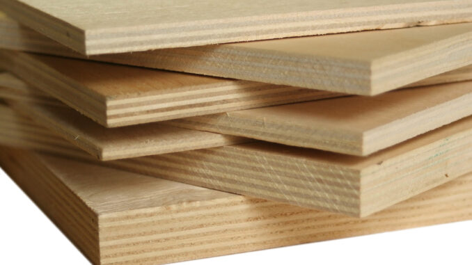 Birch Plywood