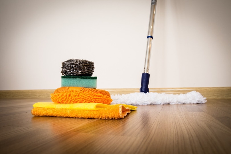 clean plywood subfloor