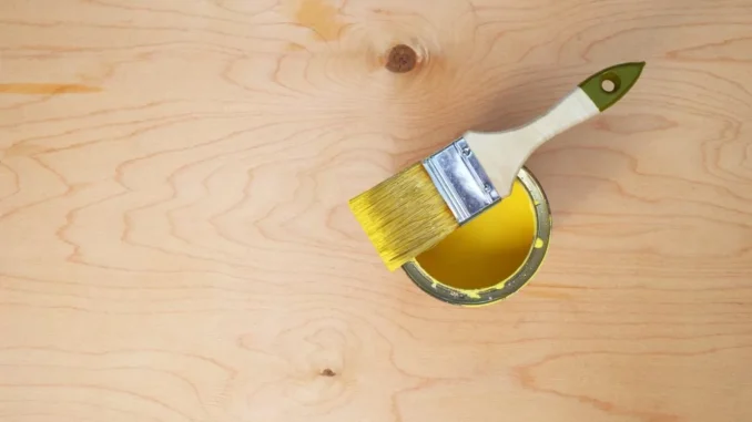 how to paint plywood